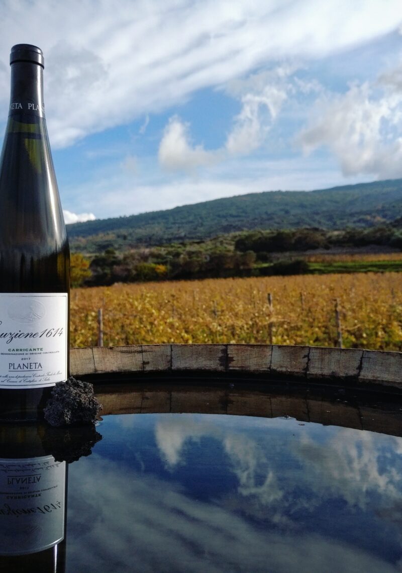 bottiglia di vino con colline sullo sfondo