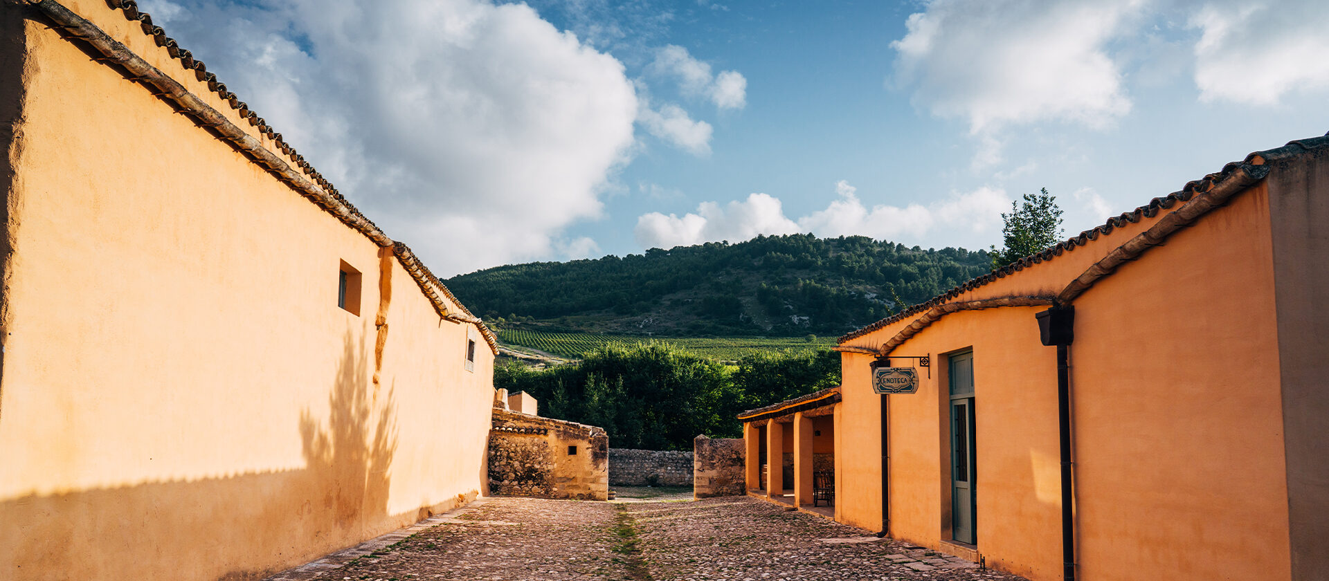 Tenuta ulmo