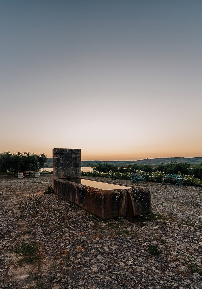 cantina di ulmo