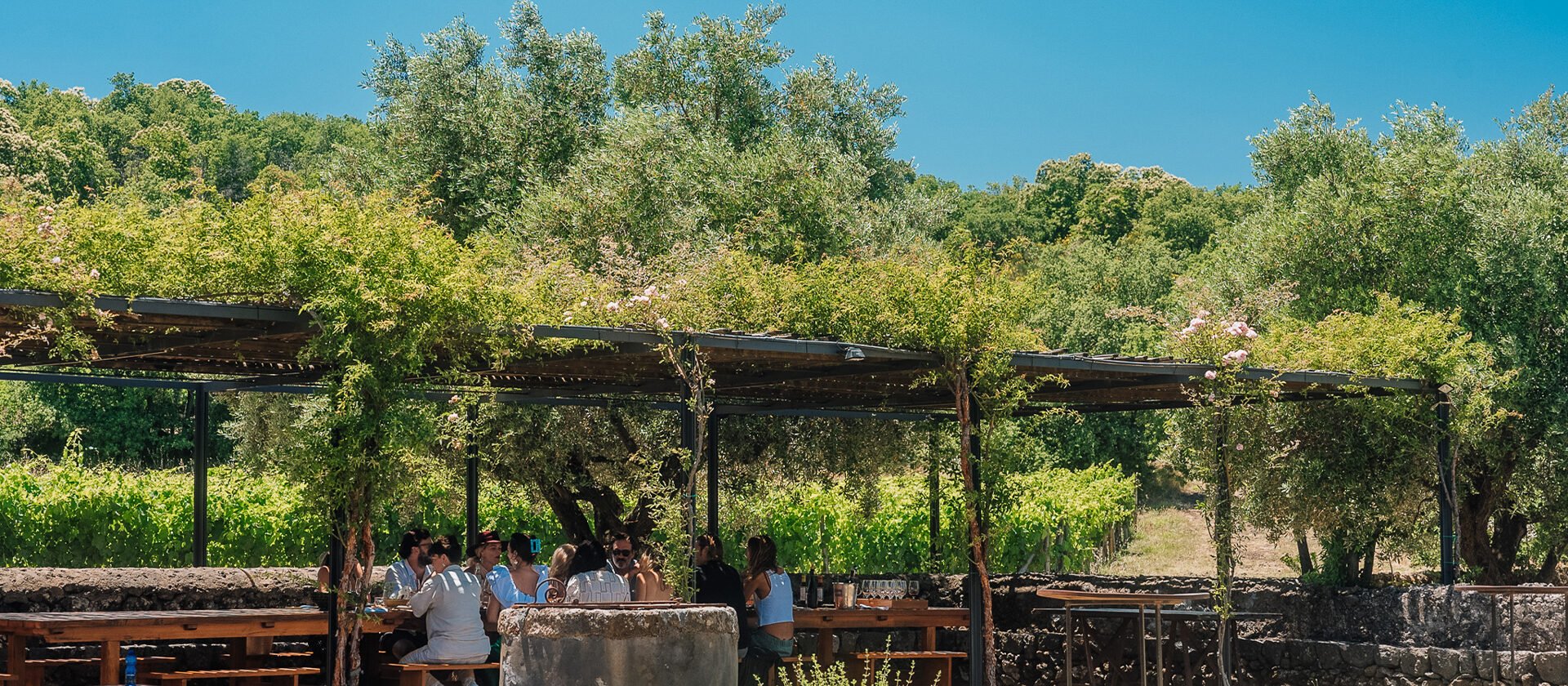 pranzo in giardino planeta