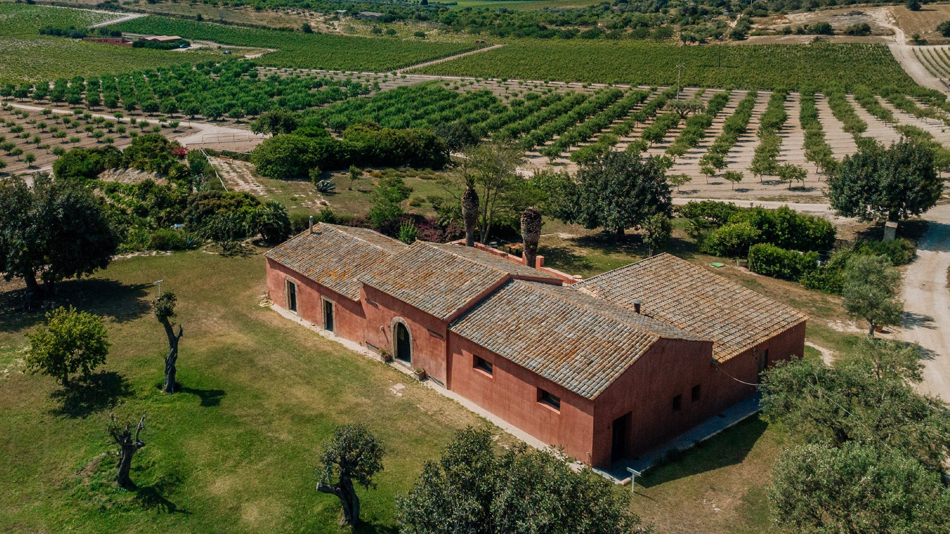 veduta cantina buonivini