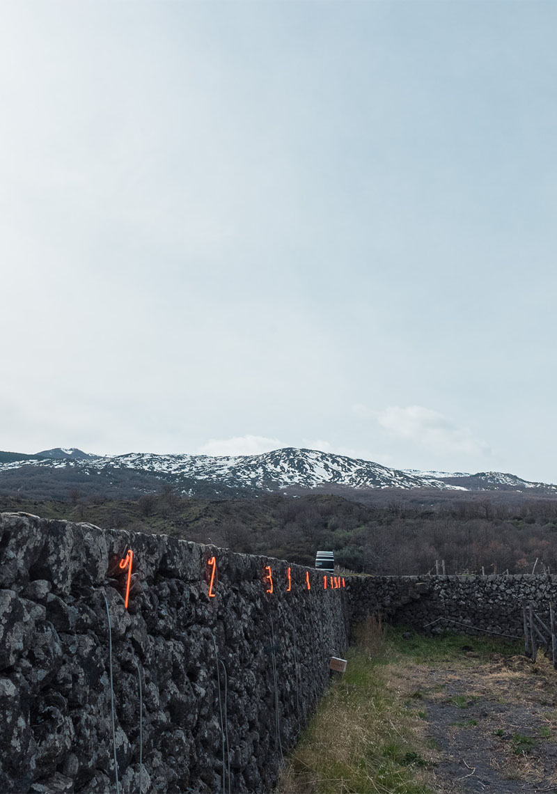 fibonacci tenuta etna