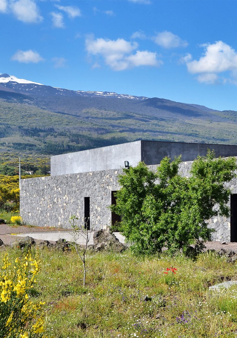 cantina feudo di mezzo