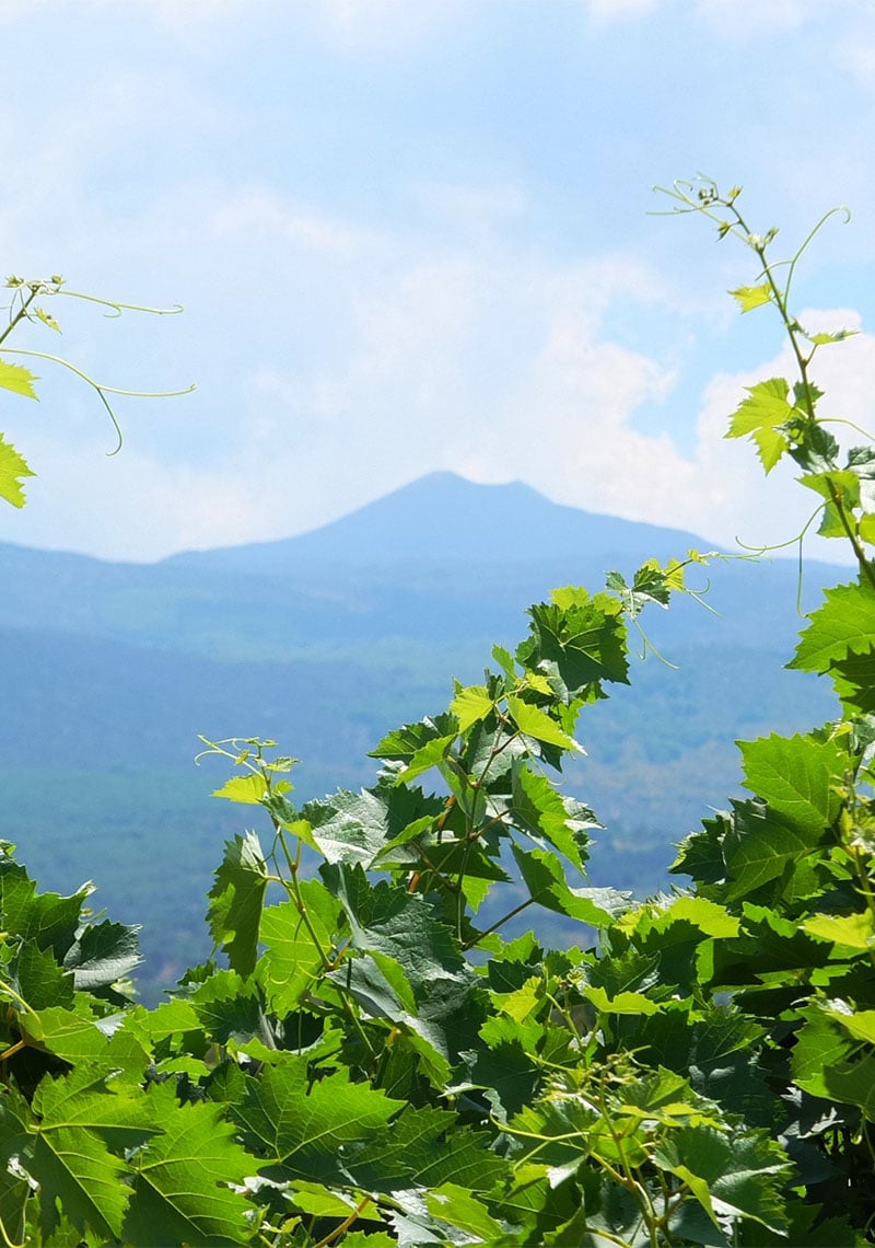 etna