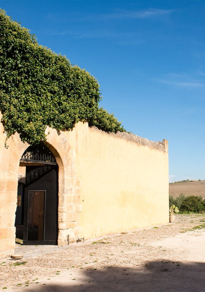 Dettaglio cantina Ulmo