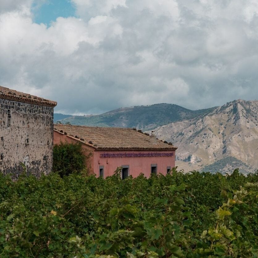 esperienze sciaranuova degustazione card