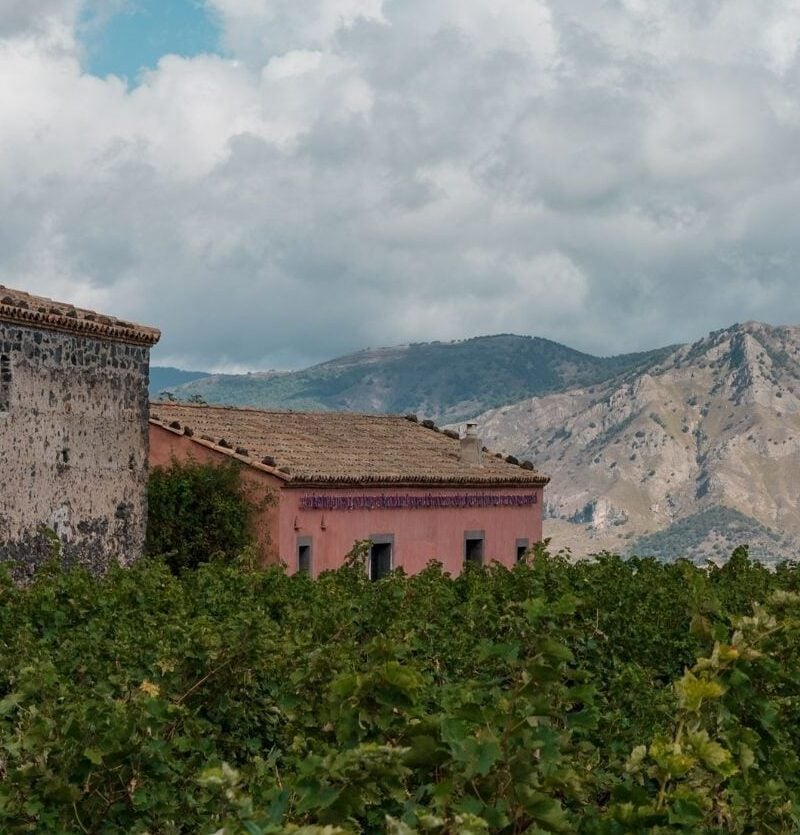 esperienze sciaranuova degustazione card