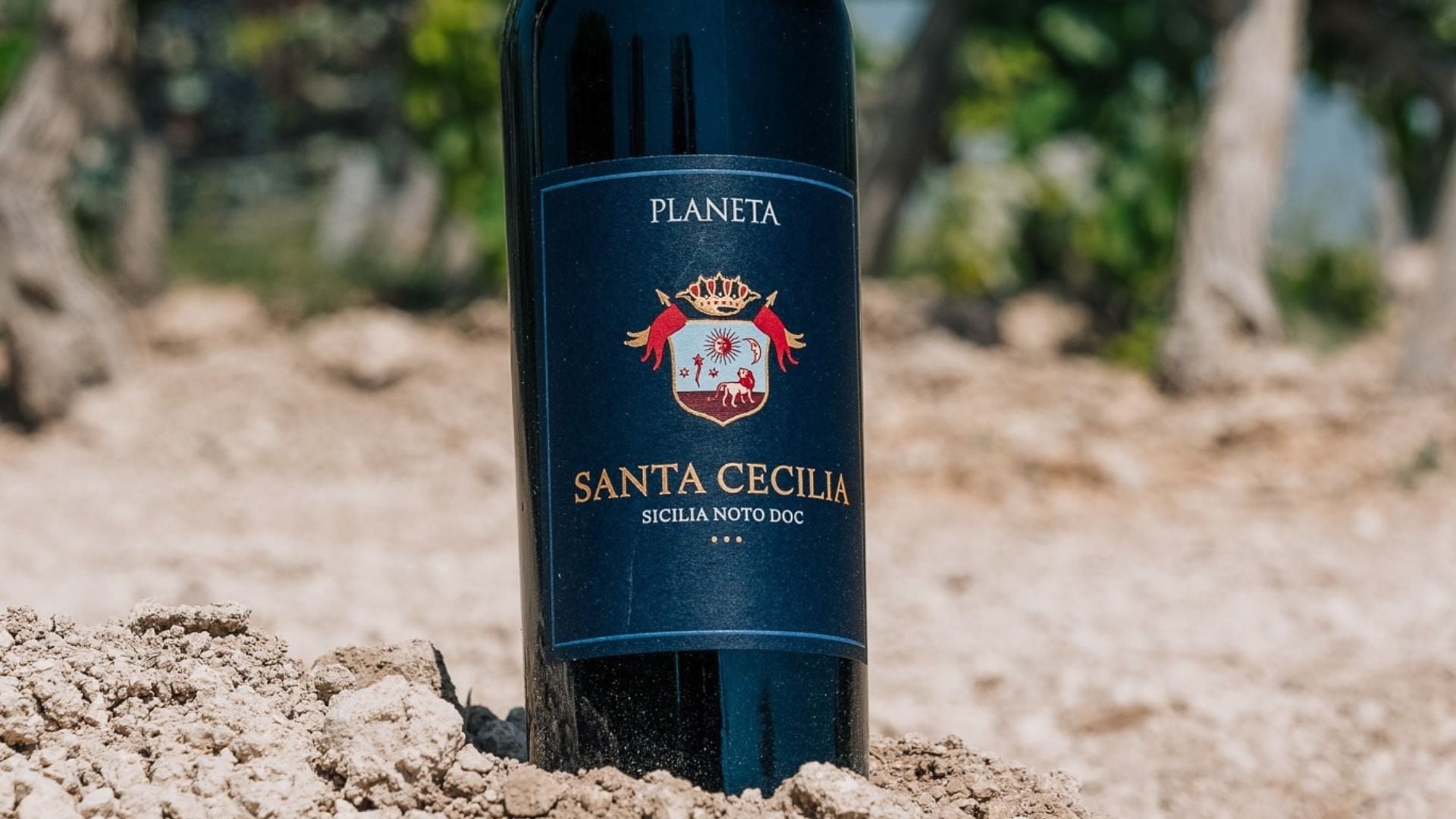 santa cecilia noto doc tre bicchieri gambero rosso
